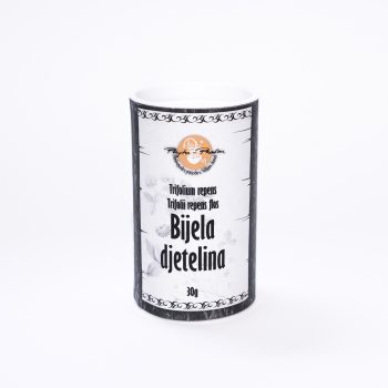 Bijela djetelina cvijet