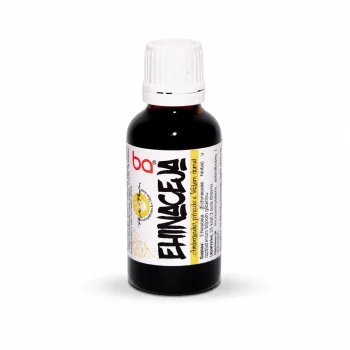 Ehinacea kapi bez alkohola